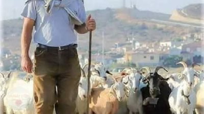 قصة الراعي والمتعلمة